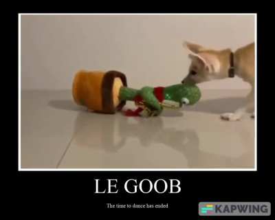 No more time to dance