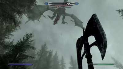 Dragon up close and personal