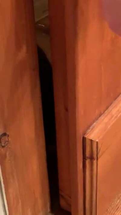 How DARE you go to the bathroom without me 🤬 featuring my very needy baby