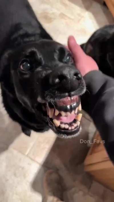 Uno te pide amor, el otro te pide almas 