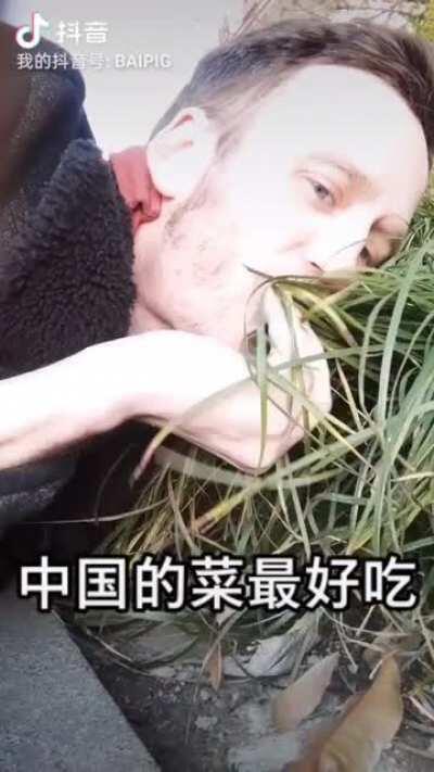 中国花最好吃💮