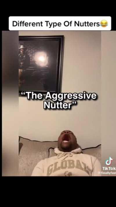 Different type of nutters