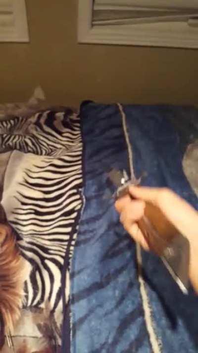 After months of development, delays, prototypes and more delays I finally have a replica prop of Corvo's Sword(More info in Comments!)