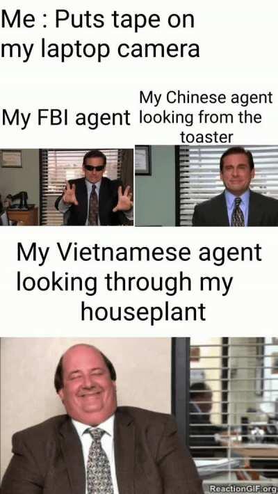 THEY ARE IN THE TREES!