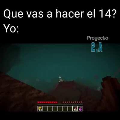 Que vas a hacer el 14 de Febrero?
