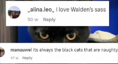 Doing nothing to fight the stereotypes.