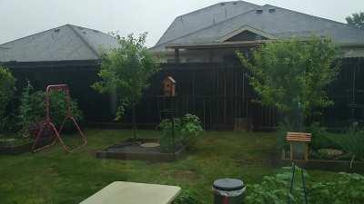 30 seconds of Texas garden rain