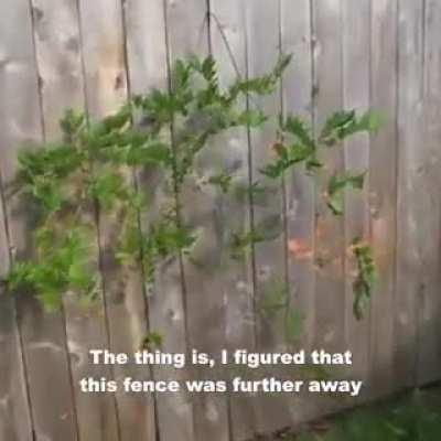 Пейнтбольный коллайдер