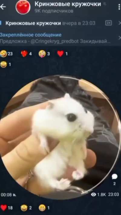 in my last post i ridiculed europeans for existing on the same planet as the glorious united states. i then looked at my subreddit demographics and saw that the majority of the users that are actively commenting and posting live in the eastern hemisphere.