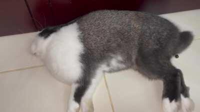 The dream was so good a poop came out, whoopsie!