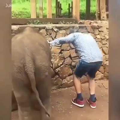 I can’t stop laughing