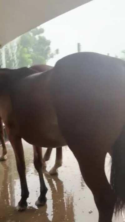 Raining in Far North Queensland, Australia awaiting cyclone Kimi