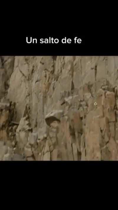 Esto no devio pasar ð­ð­ð­ð­