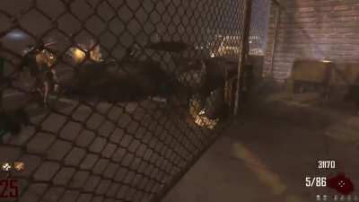 Decided to play bo2 again today