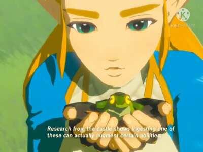 Hyrule Zoology