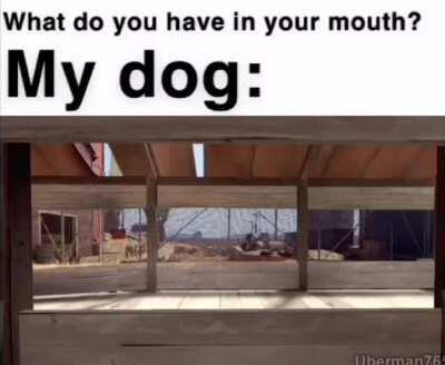 My Dog when he randomly starts chewing. Credits to Uberman765 on yt