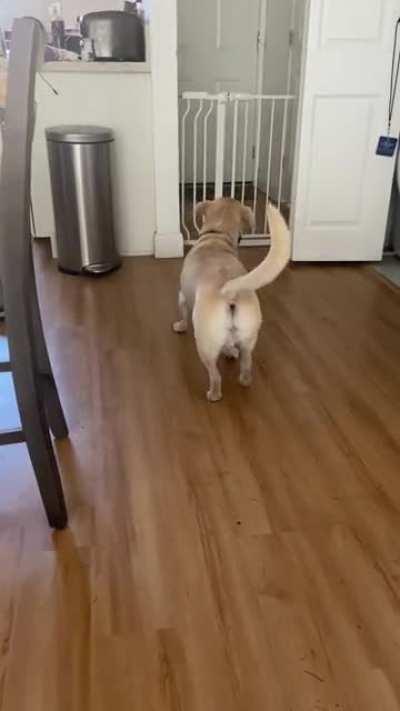 Sammy has become obsessed with perfecting his moonwalk