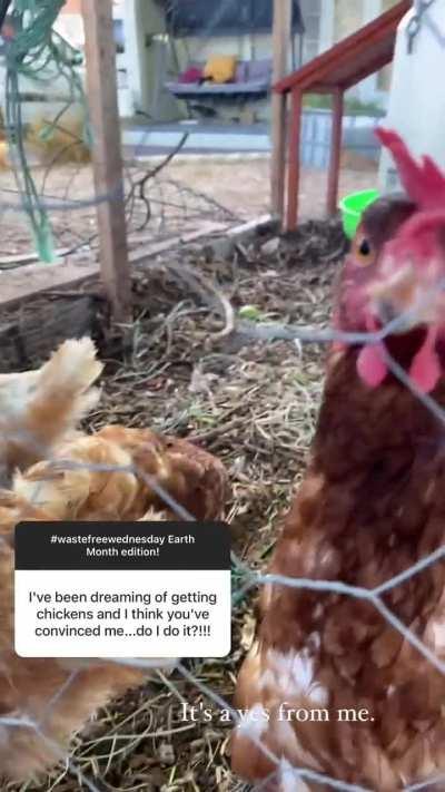 Katherine Langford Instagram Story 04/18/24