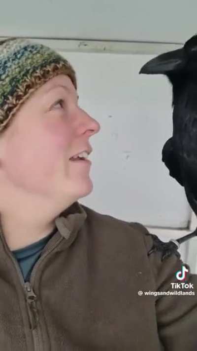 Just a girl and her crow