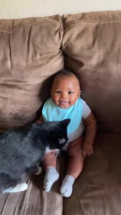 Cat meets baby