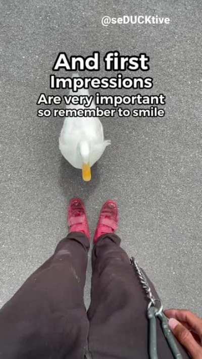 How to pick up a duck