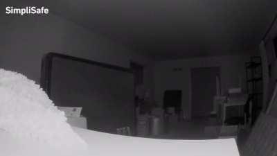 Something set off the security alarm on one of our properties two nights ago. This is the footage we found after nothing was stolen.