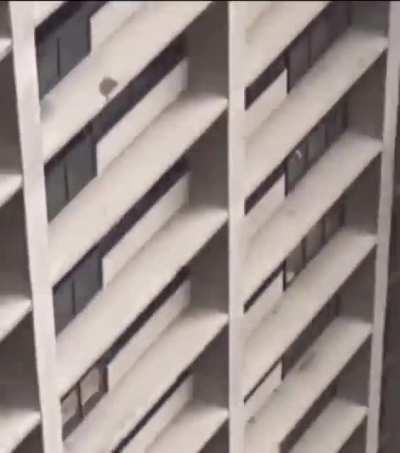 No harness, no problem.