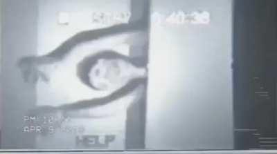 Do Covenant Species have to take precaution when visiting or invading Earth because of these? Especially when going to Australia?