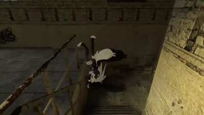 Loona falls over a fence and dies