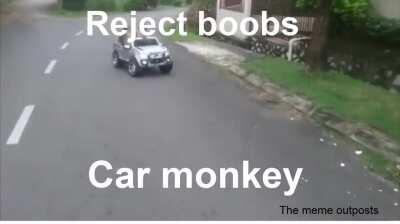 Reject boobs car monkey (meme made by me)