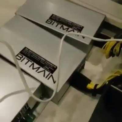 #bitcoin. The best part of working from home.