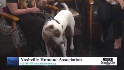 Today In Nashville. WSMV4 TV. October 28th 2025