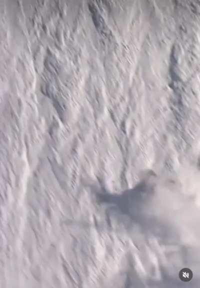 To ski down a mountain side