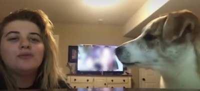 Хватит повторять за мной, человечишко