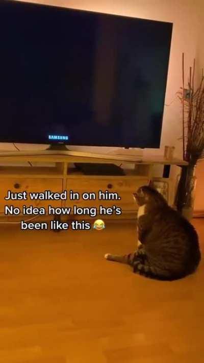 He's living his best life.