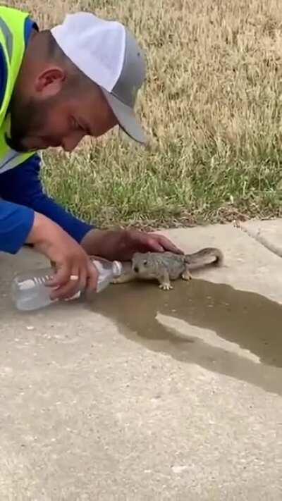 Giving a thirsty squirrel some water