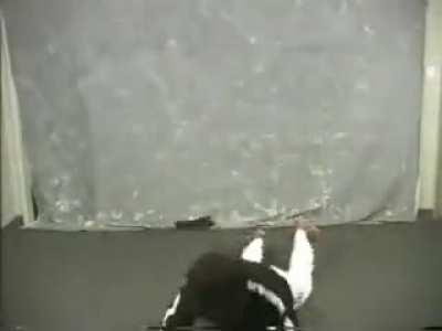 bruised lee doing his nunchuck routine