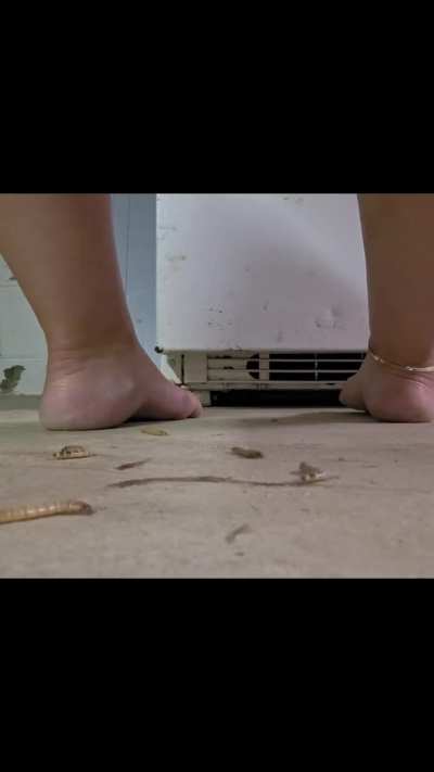 Wormy Wednesday 🤭😈 premades are b1g1 50% off😘