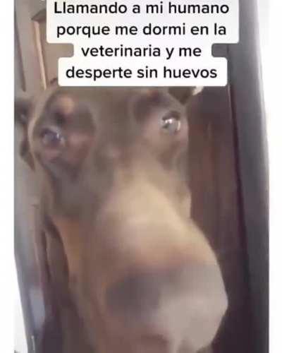 Galera si miras esto, te amo culo gordo