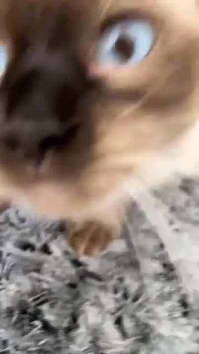 She’s happy I’m home