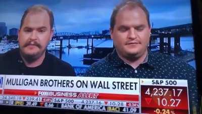 So this just happened during an interview on live TV… 🦍🍌 😂