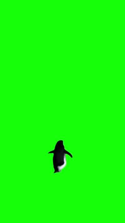 But why penguin green screen meme