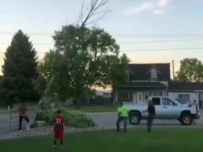 Playing tug of war with a tree