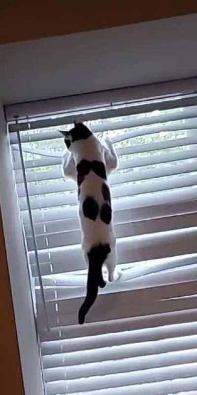 Just please... wait until the end