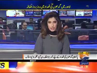 Meanwhile in La-Whore