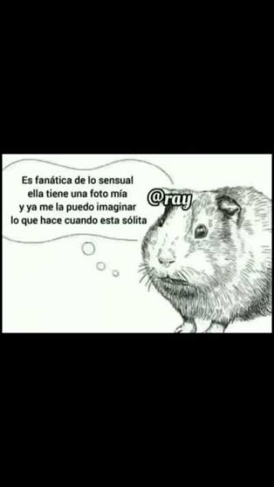 Literalmente Juja en Doki Doki: