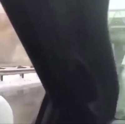 How do you forget to lower the trailer?