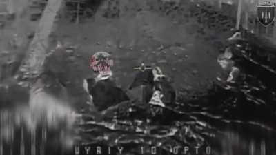 Ukrainian fiber-optic FPV drones eliminate 53 Russian Troops in Lyman area of the Donetsk region