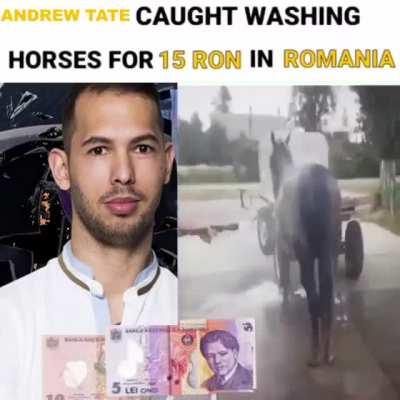 can't believe the new users don't know about tech1e this is insane