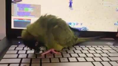 A visual representation of how it feels doing dailies